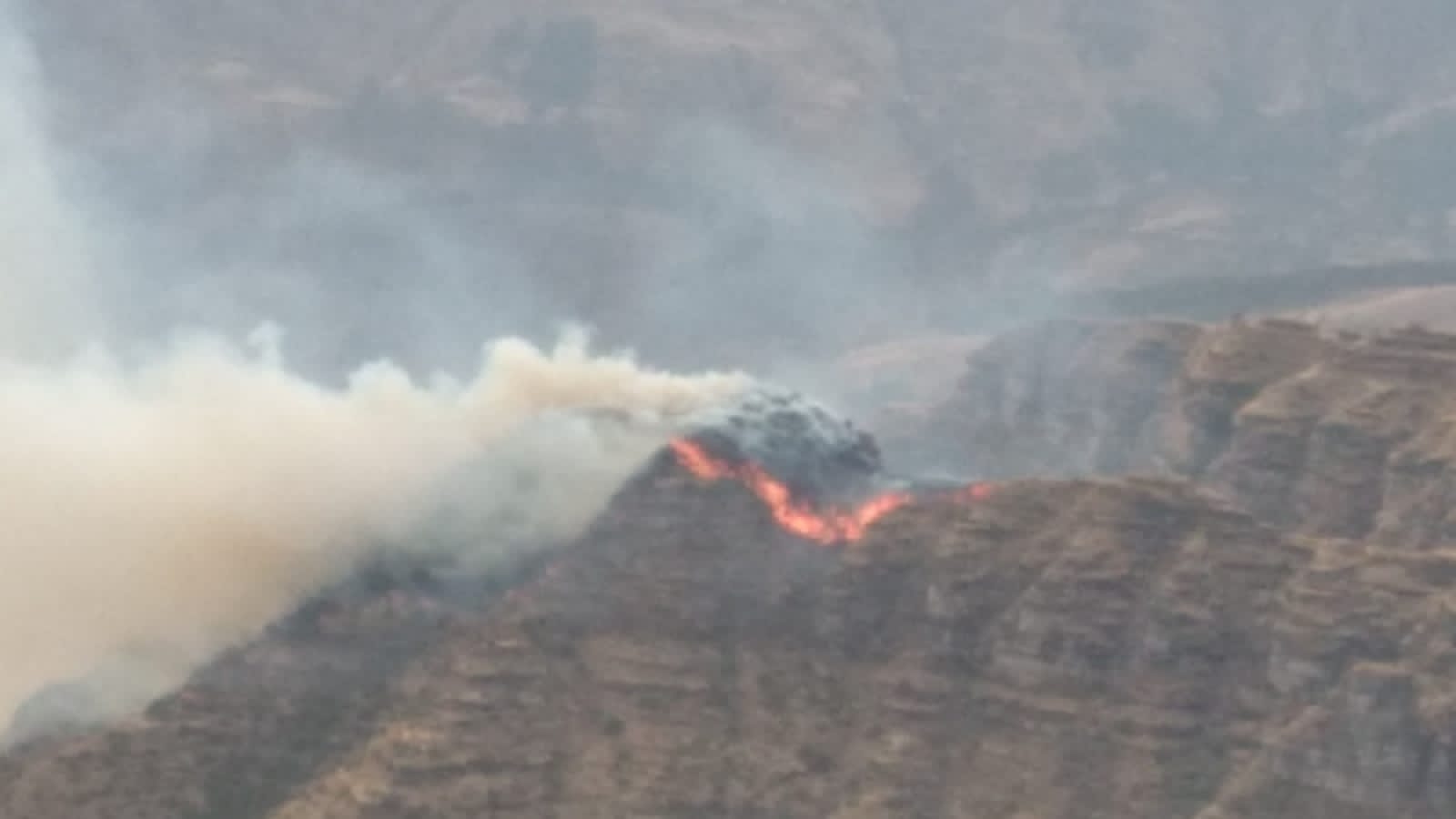 Incendio afecta sitio arqueológico y destruye 570 hectáreas de campo en Perú