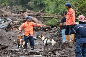Anzoátegui: brigada canina de Lechería busca desaparecidos en Valle Verde