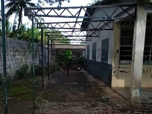Los únicos que pueden estudiar en el liceo Plácido Maneiro en Jusepín… son los murciélagos