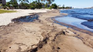 Hallan aves y peces muertos tras extenso derrame de crudo en playas de Lechería