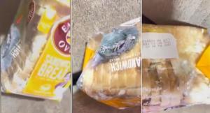 Realmente asqueroso: compró pan por delivery y halló un desagradable relleno en la bolsa (VIDEO)
