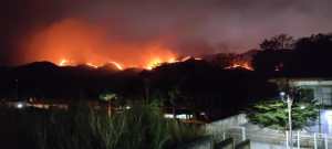 Incendio en el Parque Nacional Henri Pittier dejó a los maracayeros “tragando humo parejo”