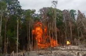 Destruyeron materiales usados para minería ilegal en el Parque Nacional Yapacana en Amazonas (Fotos)