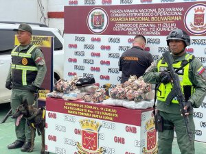 Incautaron más de 12 kilos de cocaína en 20 pares de zapatos en Zulia (Fotos)