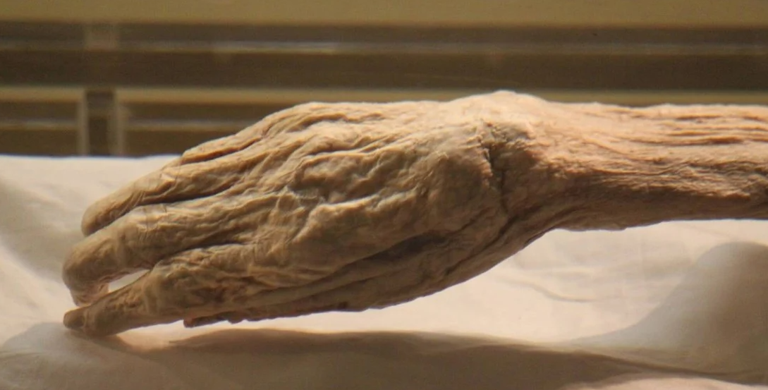 Descubren la momia mejor conservada del mundo