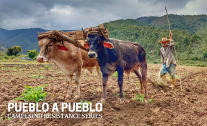 Agroecology for Life: Pueblo a Pueblo Builds Food Sovereignty (Part III)