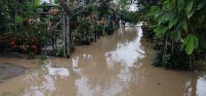 Más de 20 comunidades en Apure bajo el agua tras torrenciales lluvias (Imágenes)