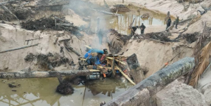 La cifra inverosímil de supuestos mineros ilegales desalojados del Parque Nacional Yapacana (VIDEO)
