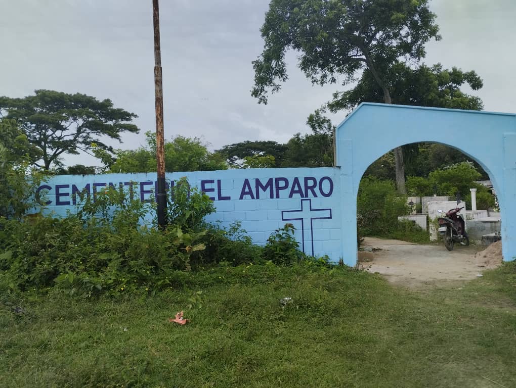 Visitantes del cementerio de El Amparo en Apure son atacados por enjambre de abejas africanas