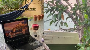 VIDEO: Una latina estaba trabajando en Australia, escuchó un ruido y descubrió a la peor “vecina” del mundo