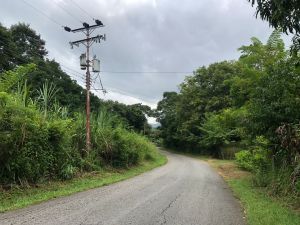 Sector rural Los Bagres en Guárico tiene más de 48 horas con avería eléctrica (VIDEO)