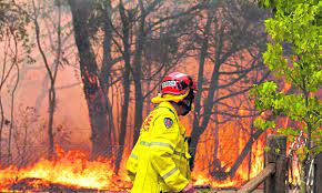 Australia lucha contra decenas de incendios forestales en el sureste del país