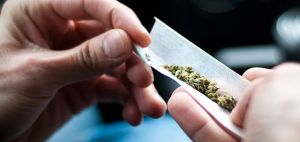 Los adictos al cannabis tienen más riesgo de sufrir cáncer de pulmón, según estudio