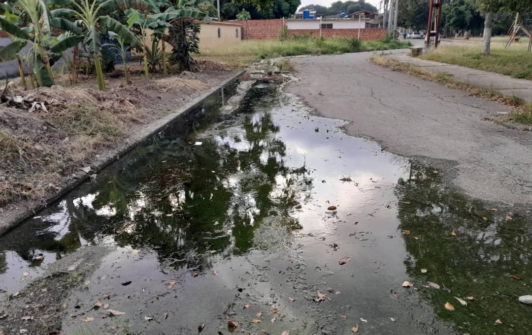 Desbordamiento de aguas negras provoca enfermedades en vecinos de La Isabelica en Valencia