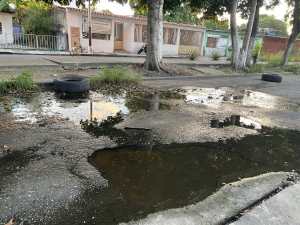 Colapso de aguas servidas pone en riesgo la salud de vecinos en Maracay