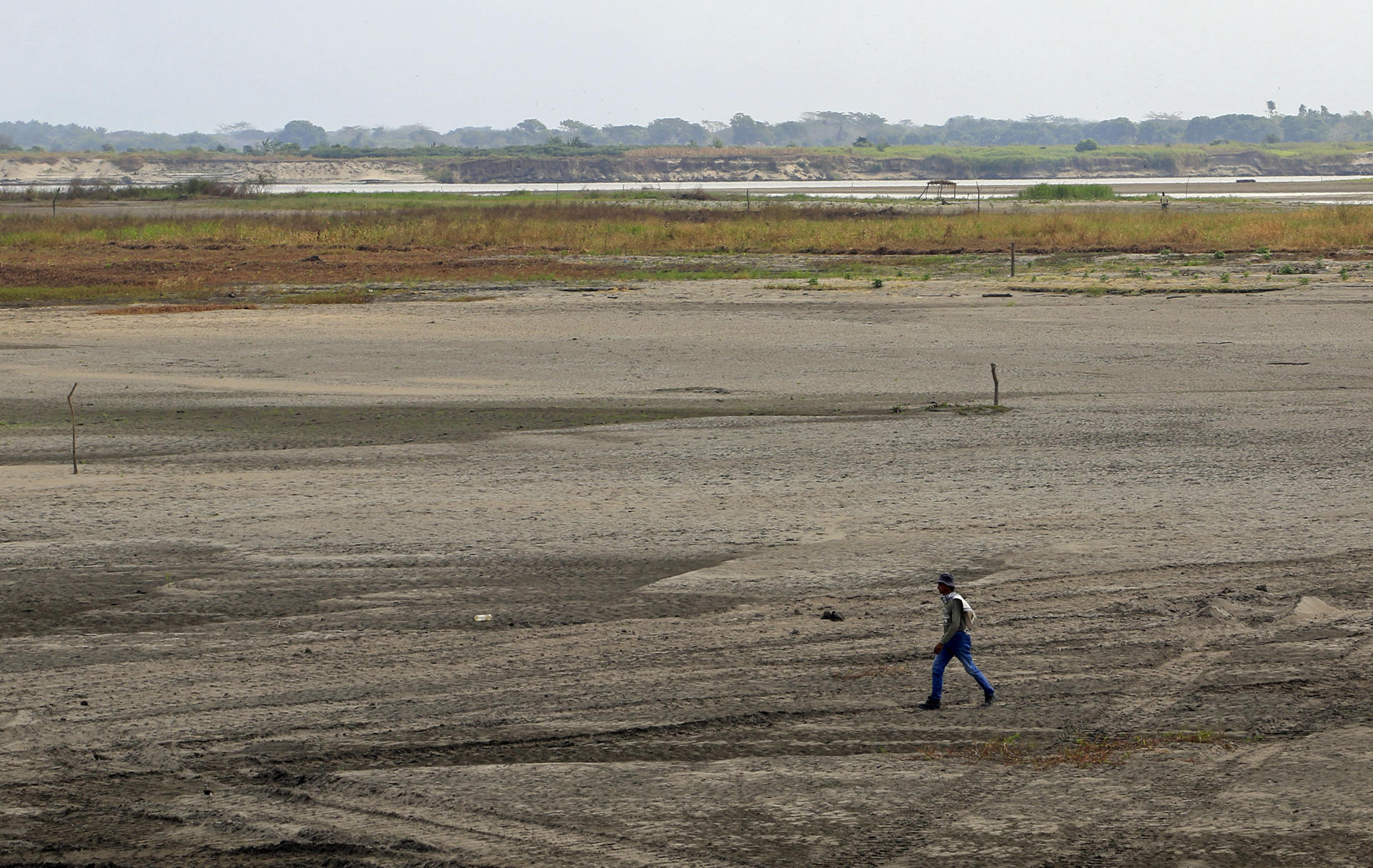 El río Magdalena de Colombia se seca y los pueblos a sus orillas mueren de sed