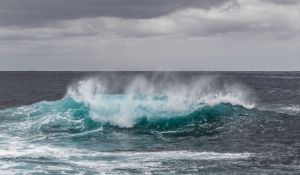 Placas tectónicas se están separando en el Pacífico, según estudio