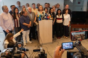 Plataforma Unitaria denunció ante Venezuela y el mundo que nunca tuvo acceso al sistema del CNE
