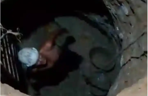 “Tenemos agua”: el grito de alegría de los vecinos de Colinas de Barinitas al hacer una perforación (VIDEO)