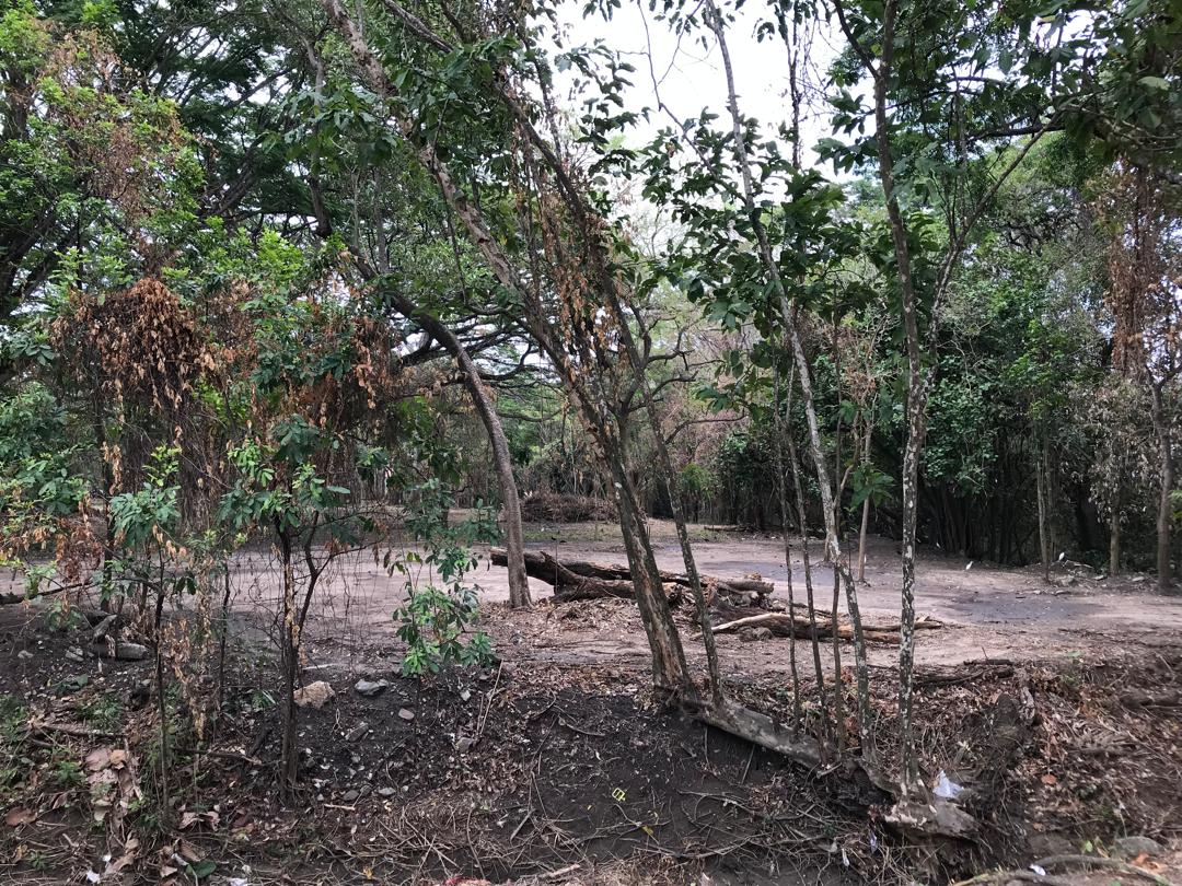 Piden iniciar recuperación del Jardín Botánico de Naguanagua en Carabobo